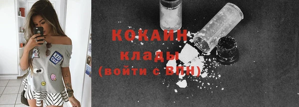 прущие грибы Волосово