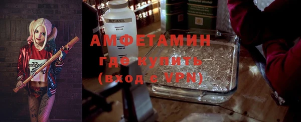 прущие грибы Волосово