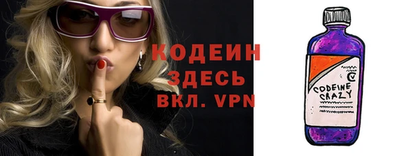 прущие грибы Волосово