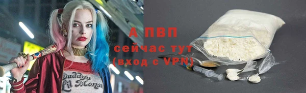 прущие грибы Волосово