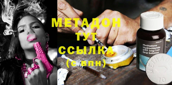 прущие грибы Волосово