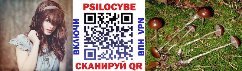 продажа наркотиков  Якутск  Галлюциногенные грибы мицелий 