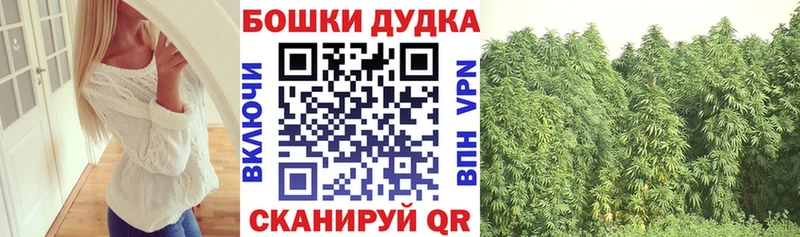 Конопля Bruce Banner  Якутск 